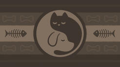 kittypuppic